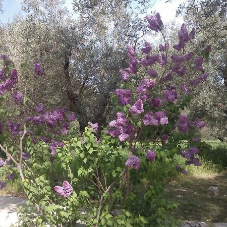 Masseria Costanza Putignano Dış mekan fotoğraf