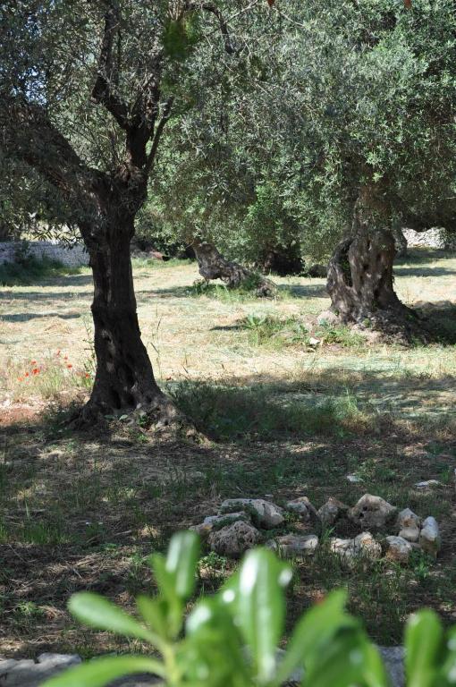 Masseria Costanza Putignano Dış mekan fotoğraf